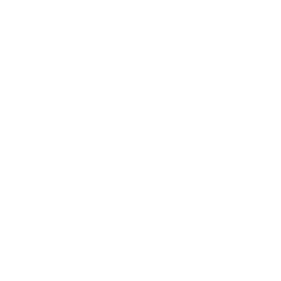 About Us 5 Automotive Electronics