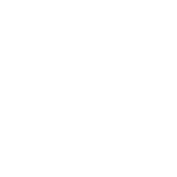 engineer